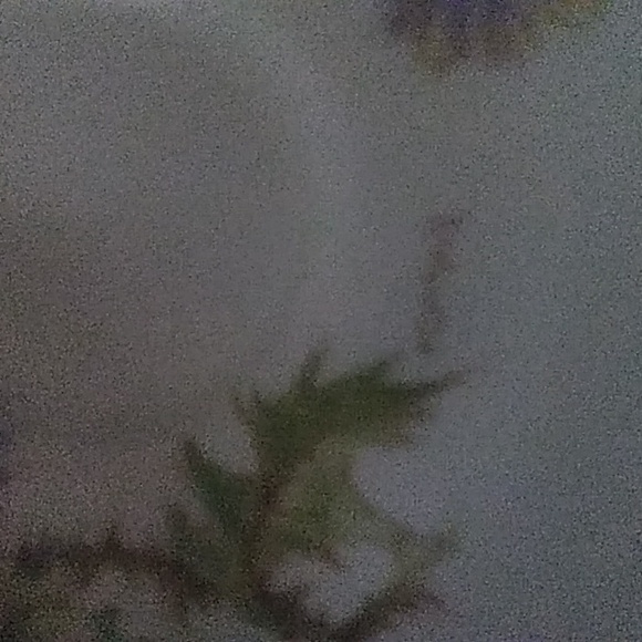 Royal doulton tea cup saucer  glamis thistle home of queen elizabeth. Signed . - Picture 3 of 4